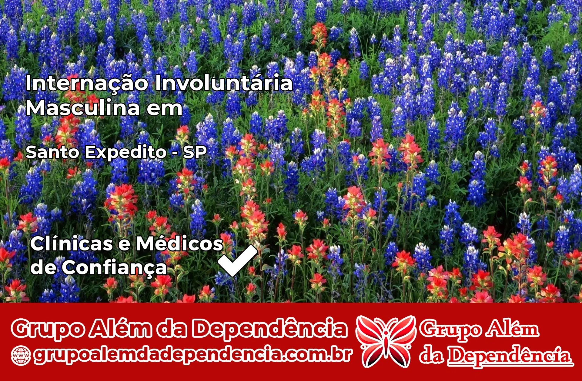 Internação Involuntária Masculina em Santo Expedito – SP