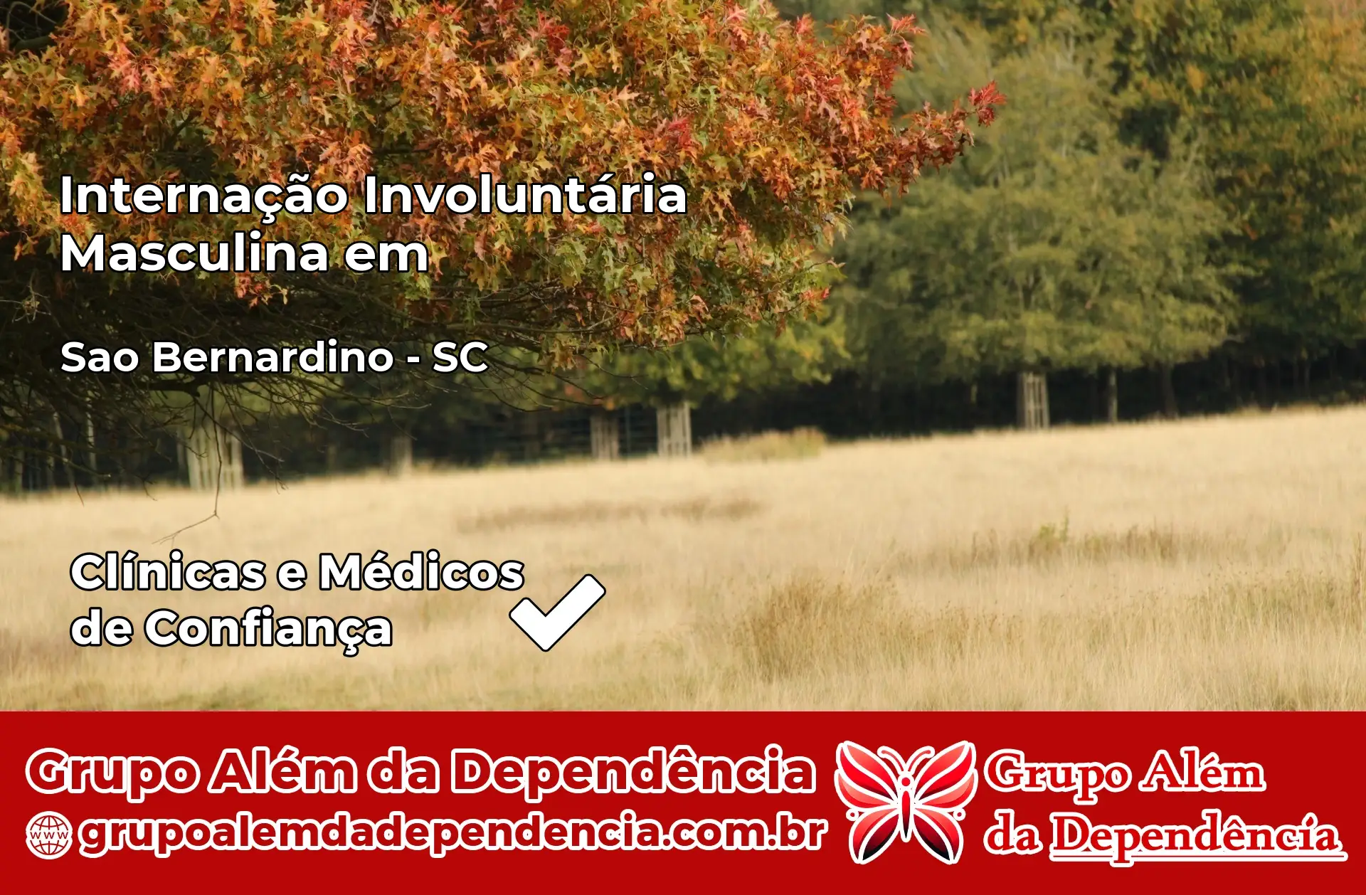 Internação Involuntária Masculina em São Bernardino – SC