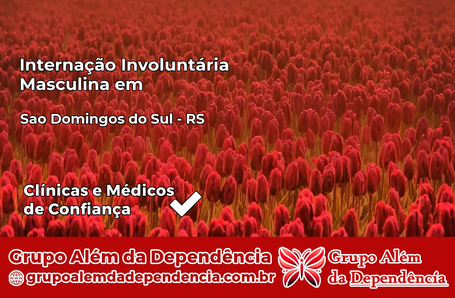 Internação Involuntária Masculina em São Domingos do Sul – RS