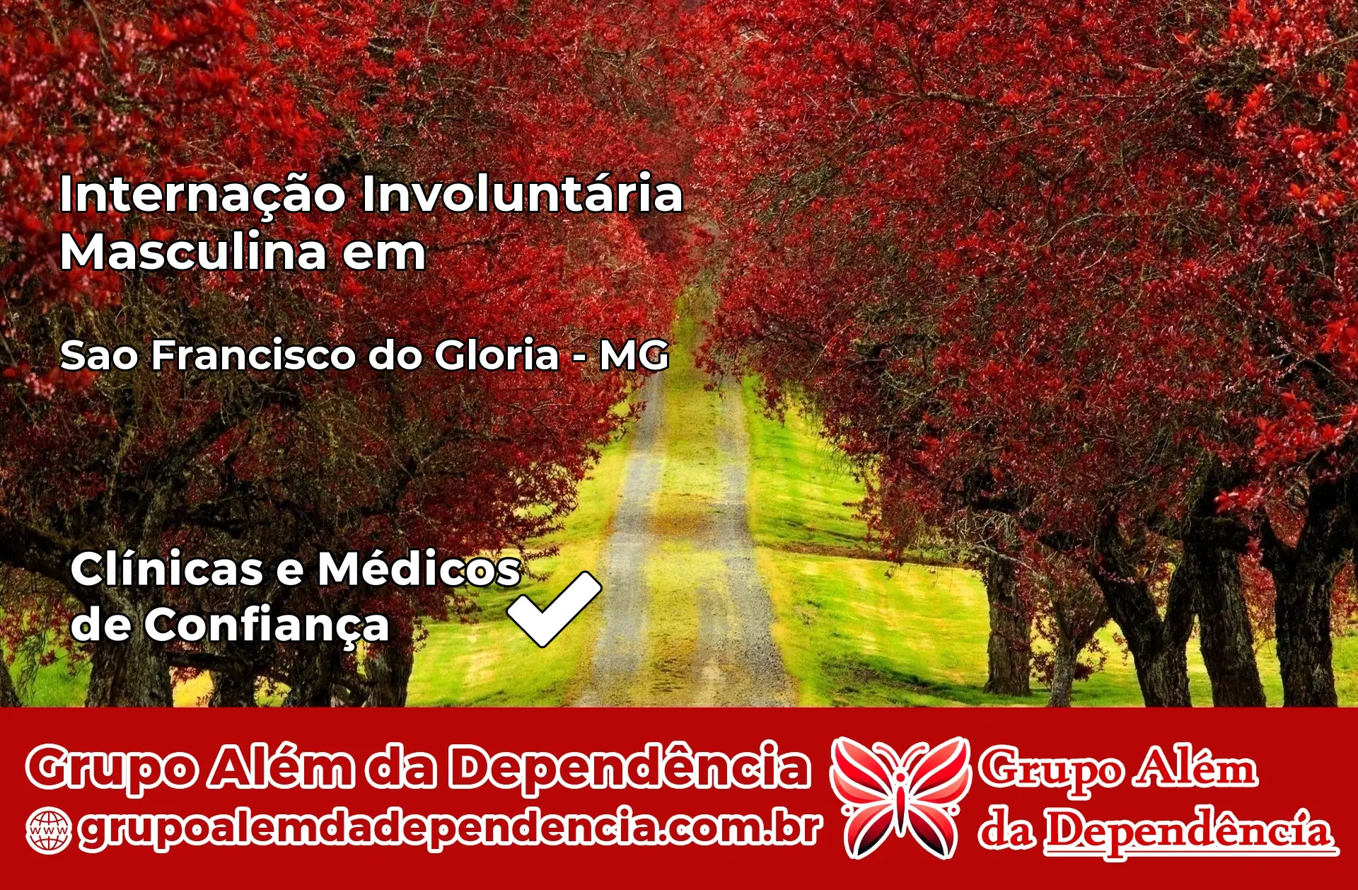 Internação Involuntária Masculina em São Francisco do Glória – MG