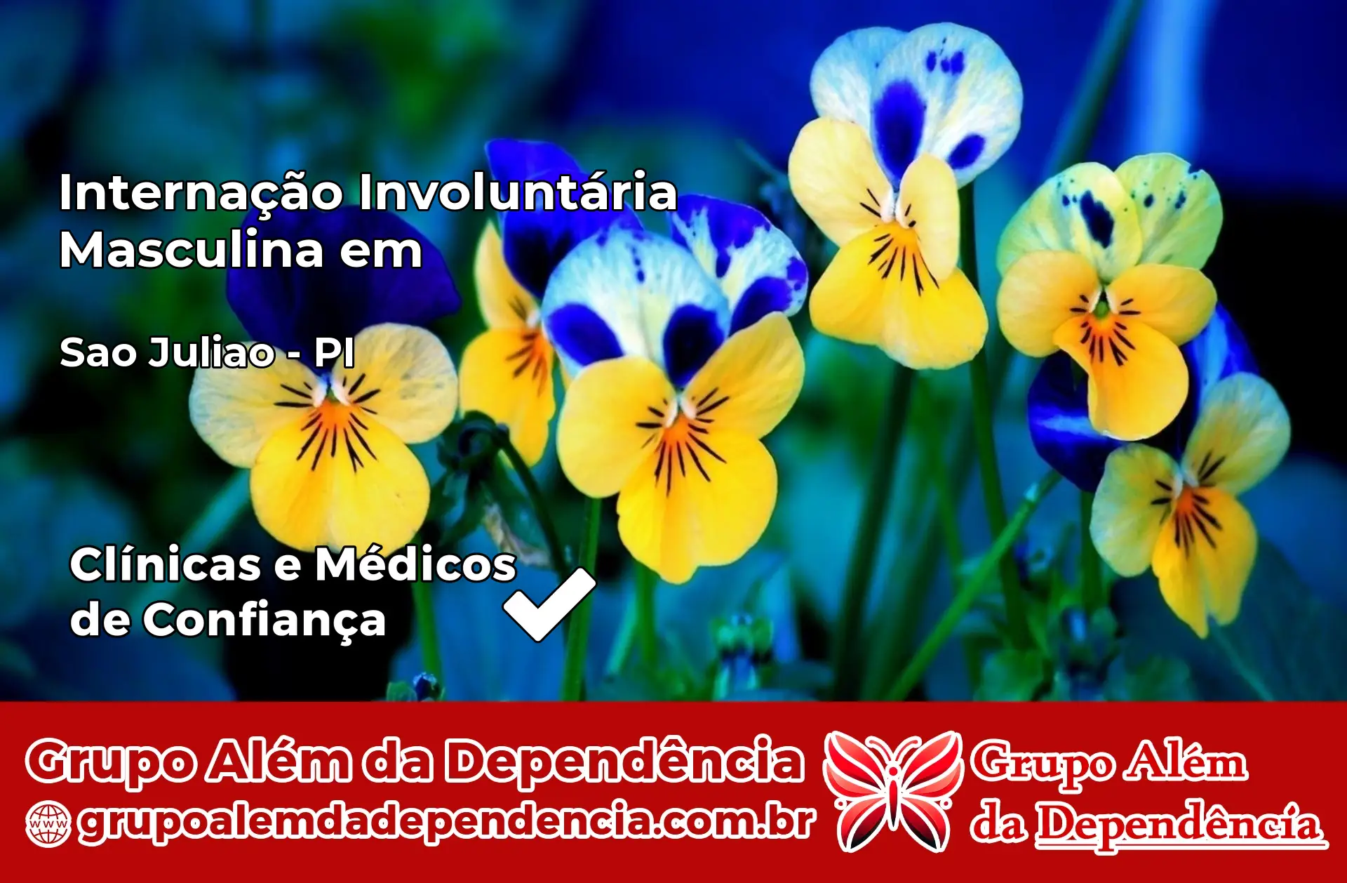 Internação Involuntária Masculina em São Julião – PI