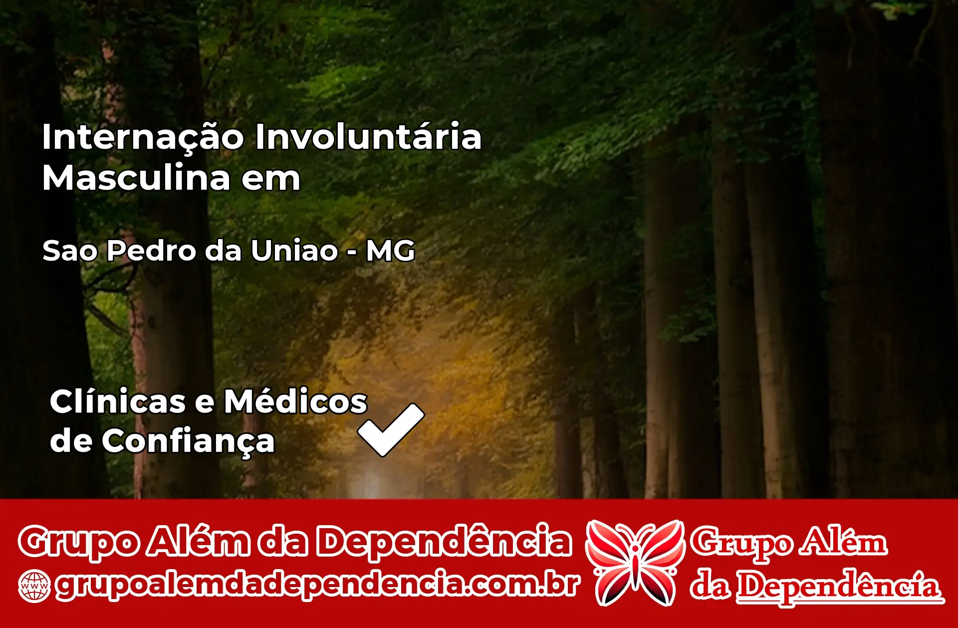 Internação Involuntária Masculina em São Pedro da União – MG