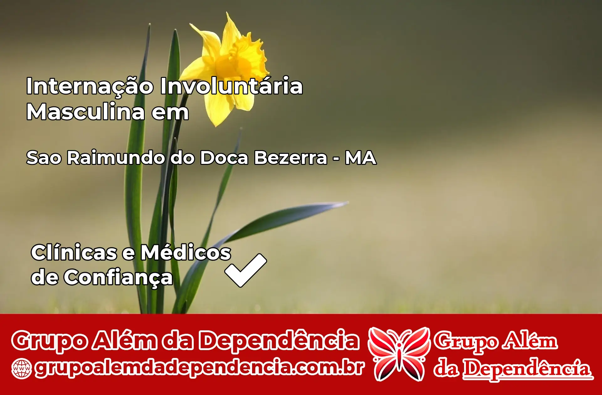 Internação Involuntária Masculina em São Raimundo do Doca Bezerra – MA