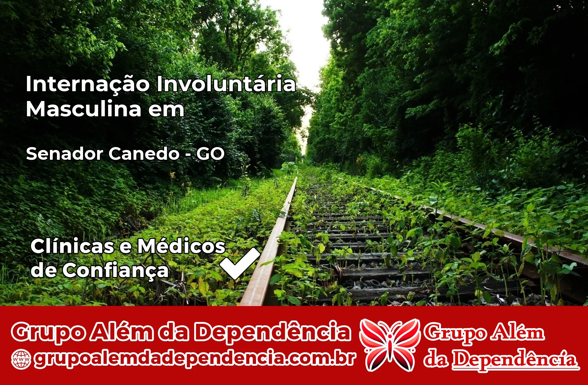 Internação Involuntária Masculina em Senador Canedo – GO