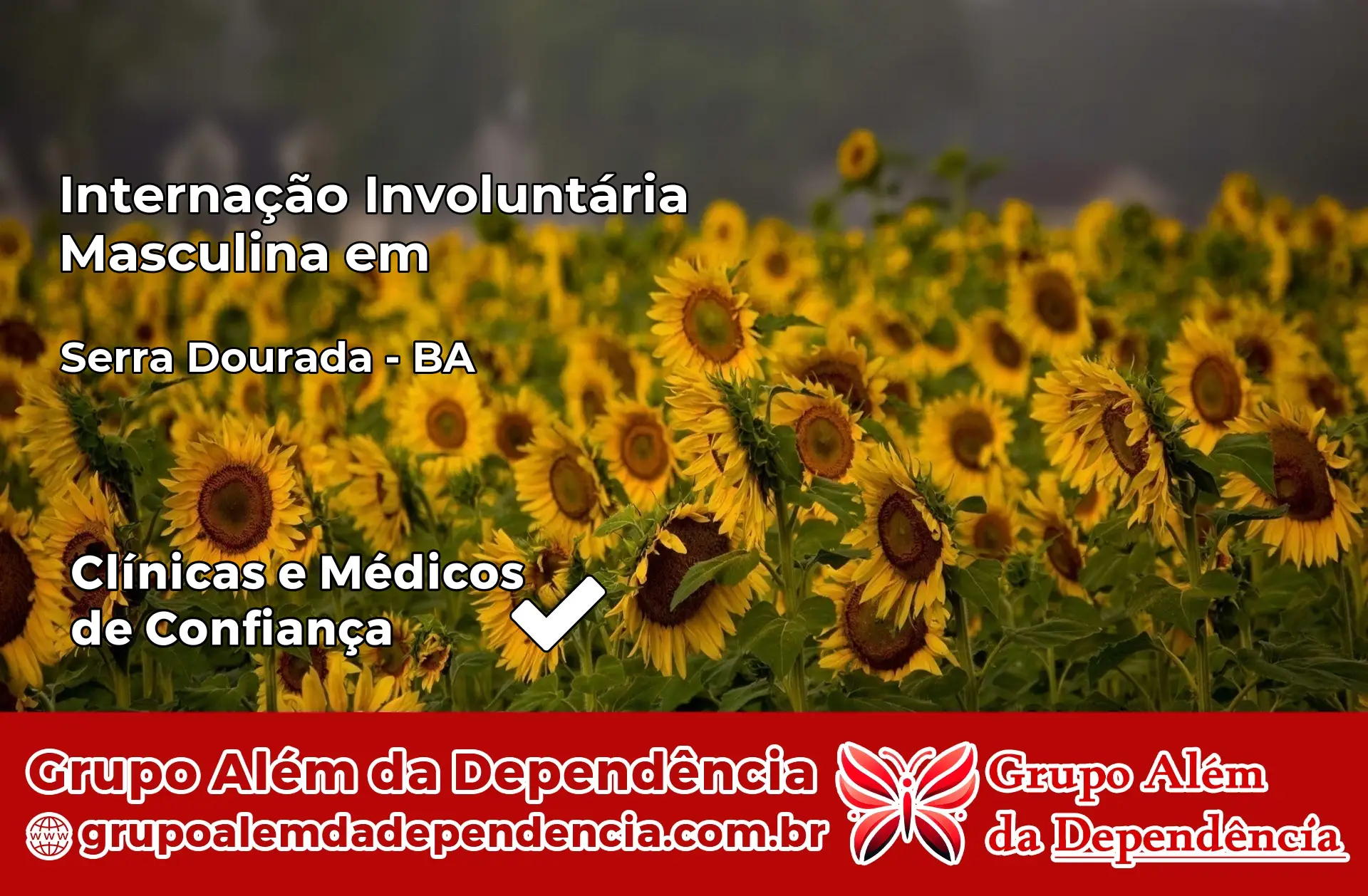 Internação Involuntária Masculina em Serra Dourada – BA