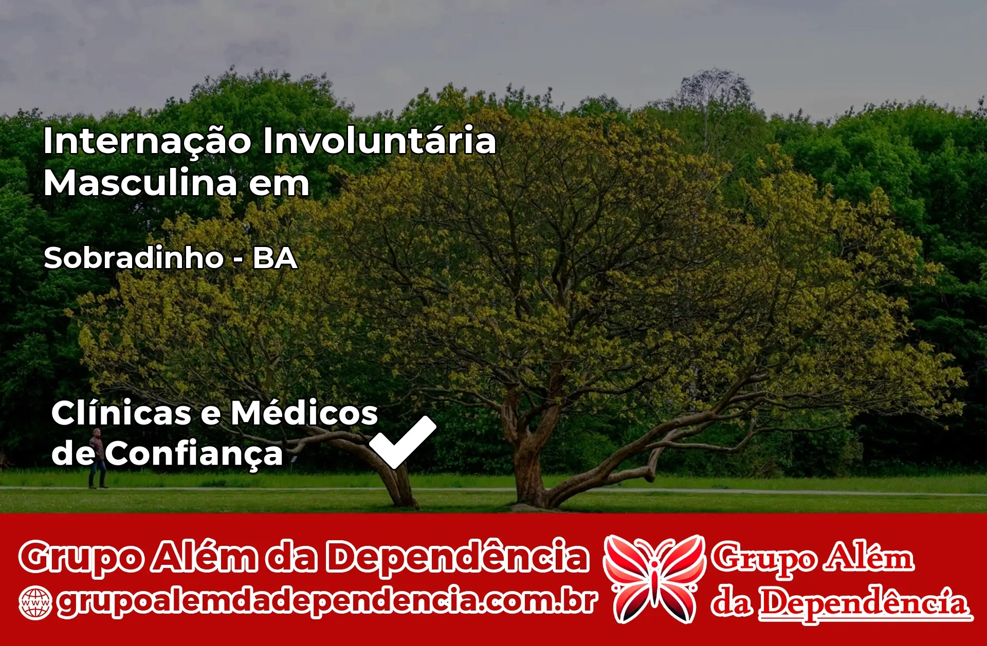 Internação Involuntária Masculina em Sobradinho – BA
