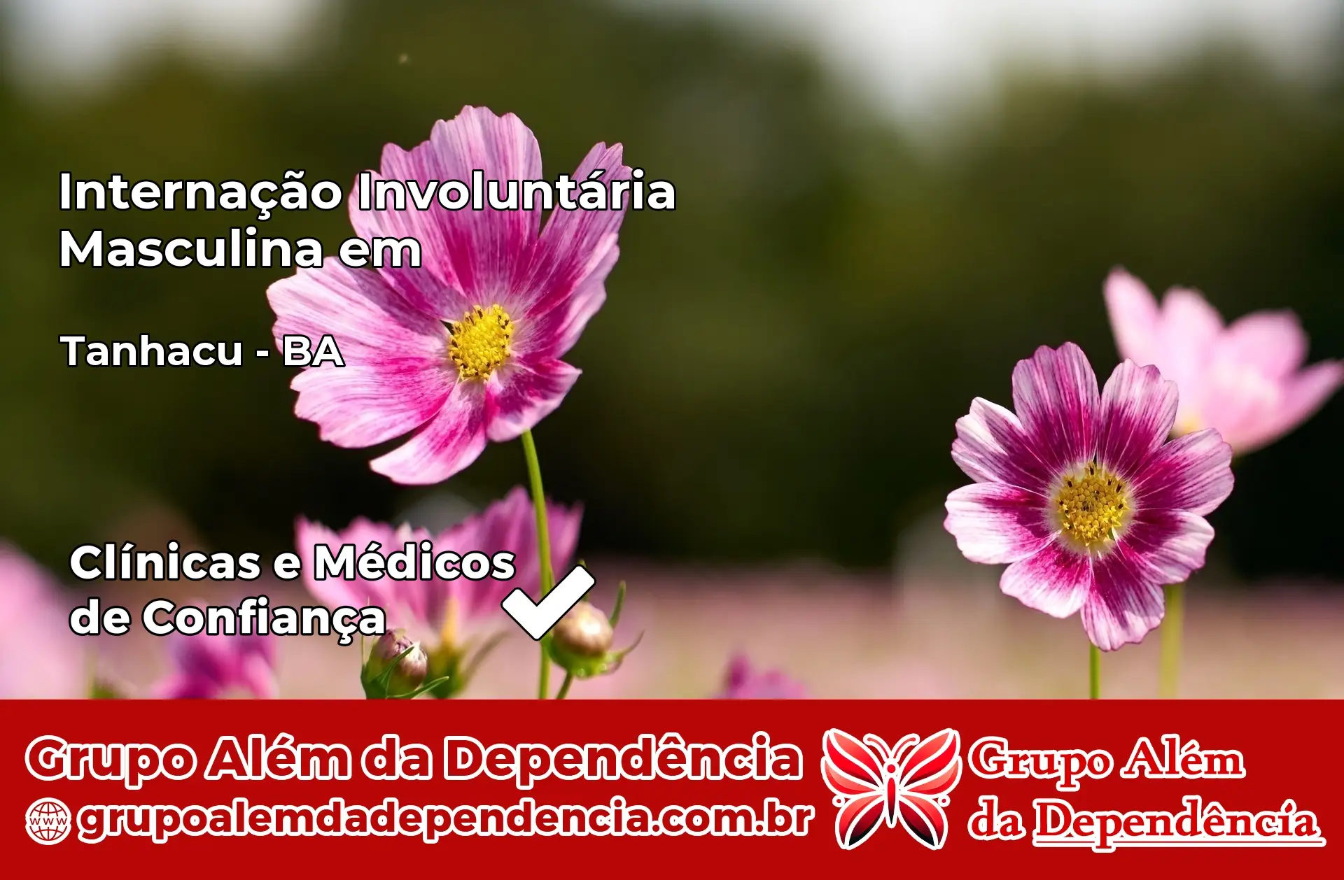 Internação Involuntária Masculina em Tanhaçu – BA