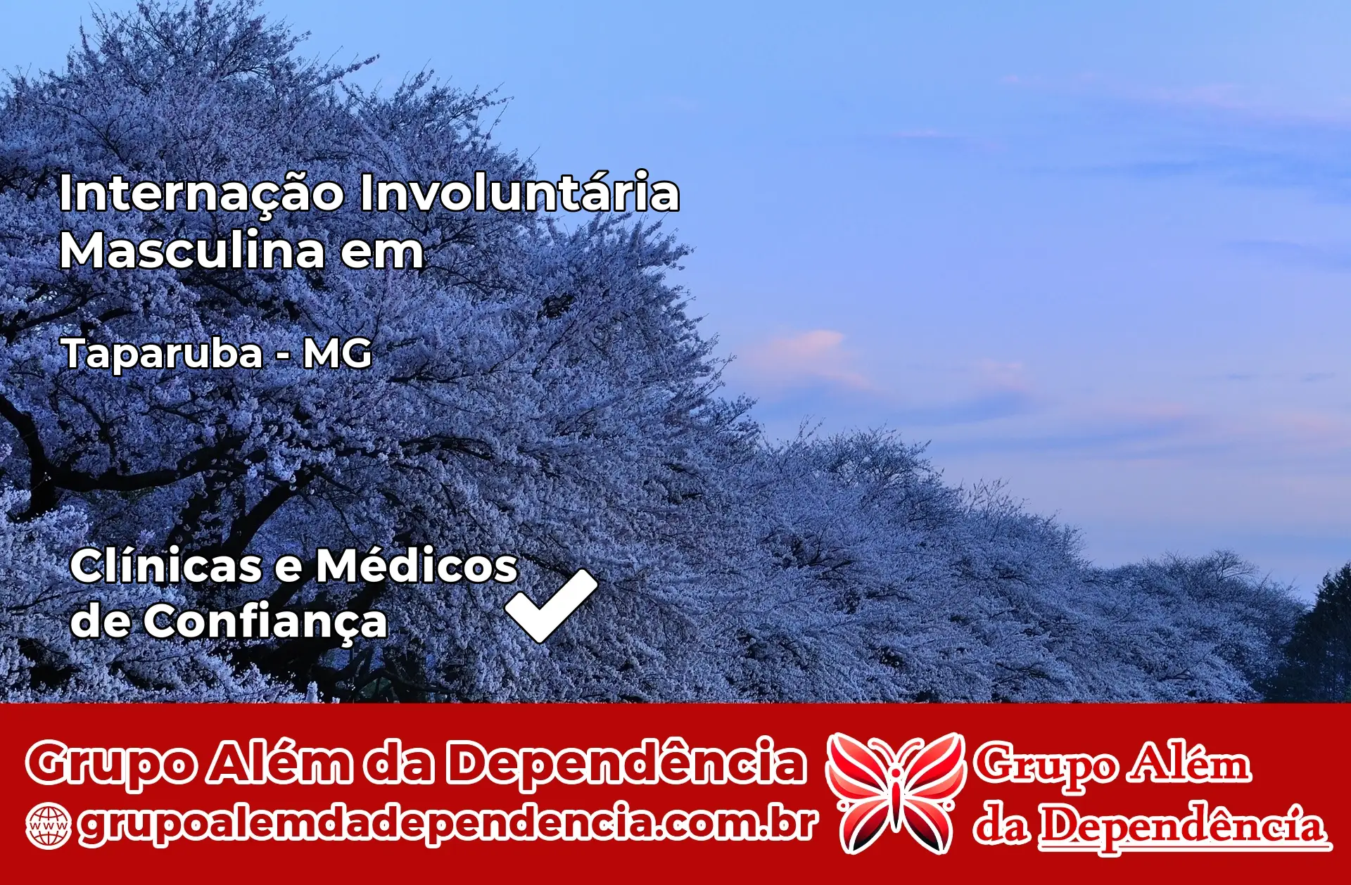 Internação Involuntária Masculina em Taparuba – MG