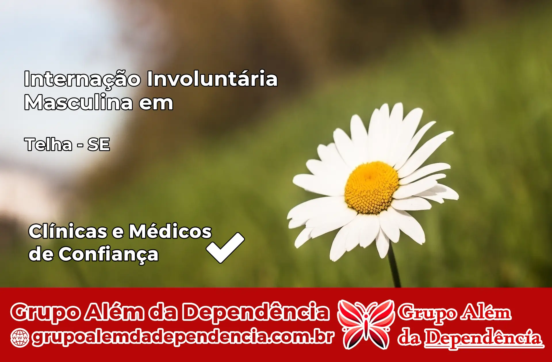 Internação Involuntária Masculina em Telha – SE