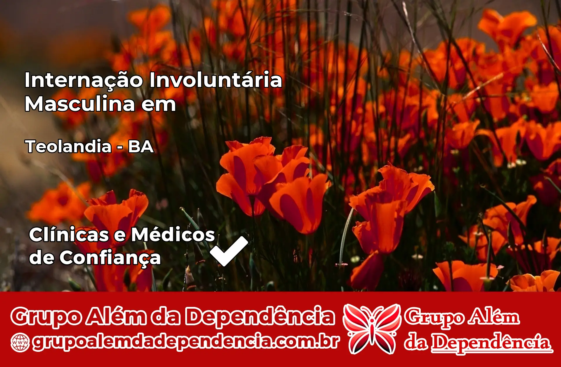 Internação Involuntária Masculina em Teolândia – BA