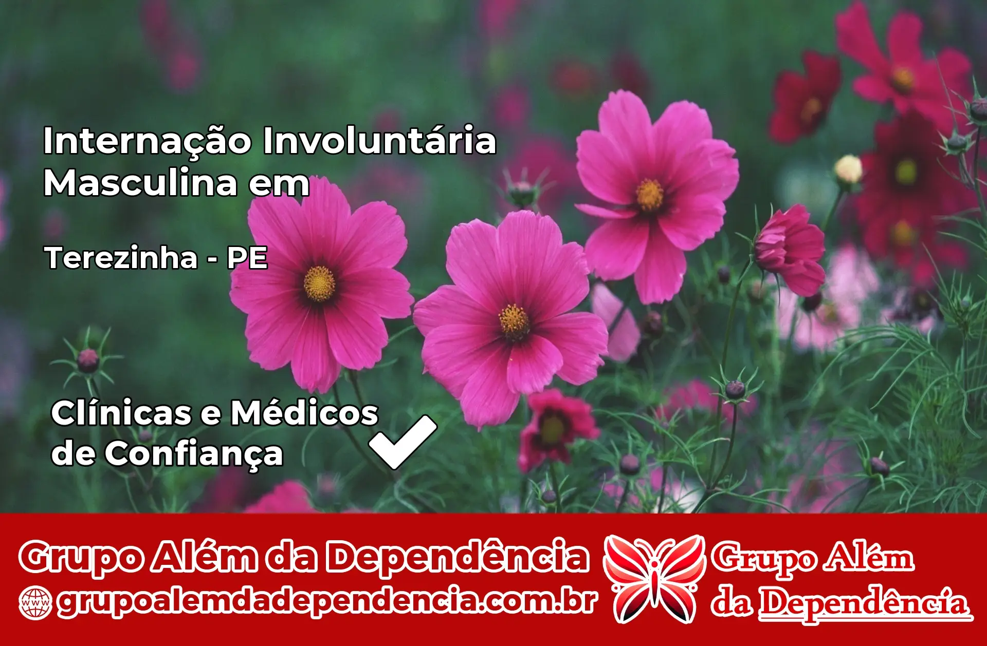 Internação Involuntária Masculina em Terezinha – PE