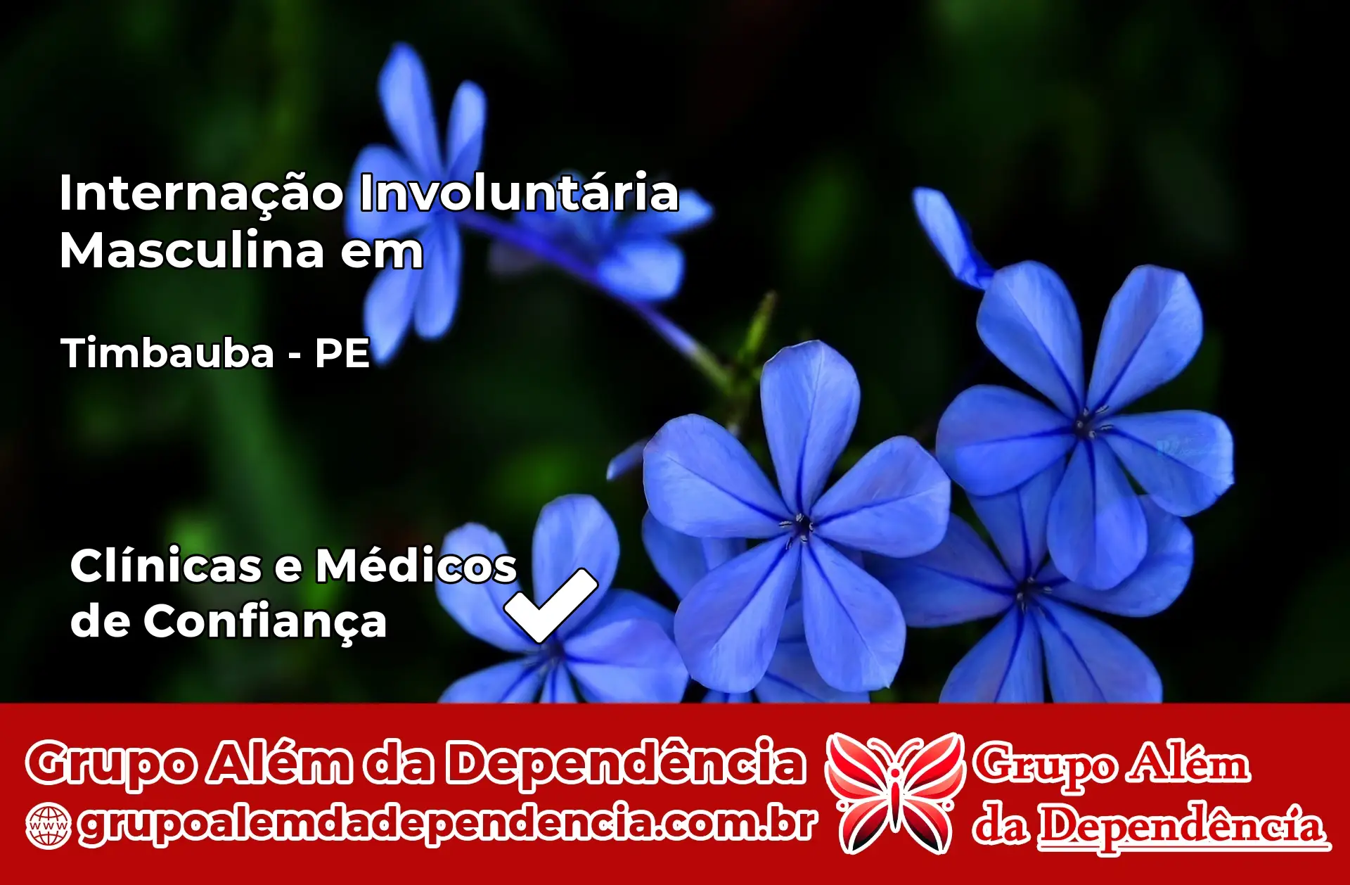Internação Involuntária Masculina em Timbaúba – PE