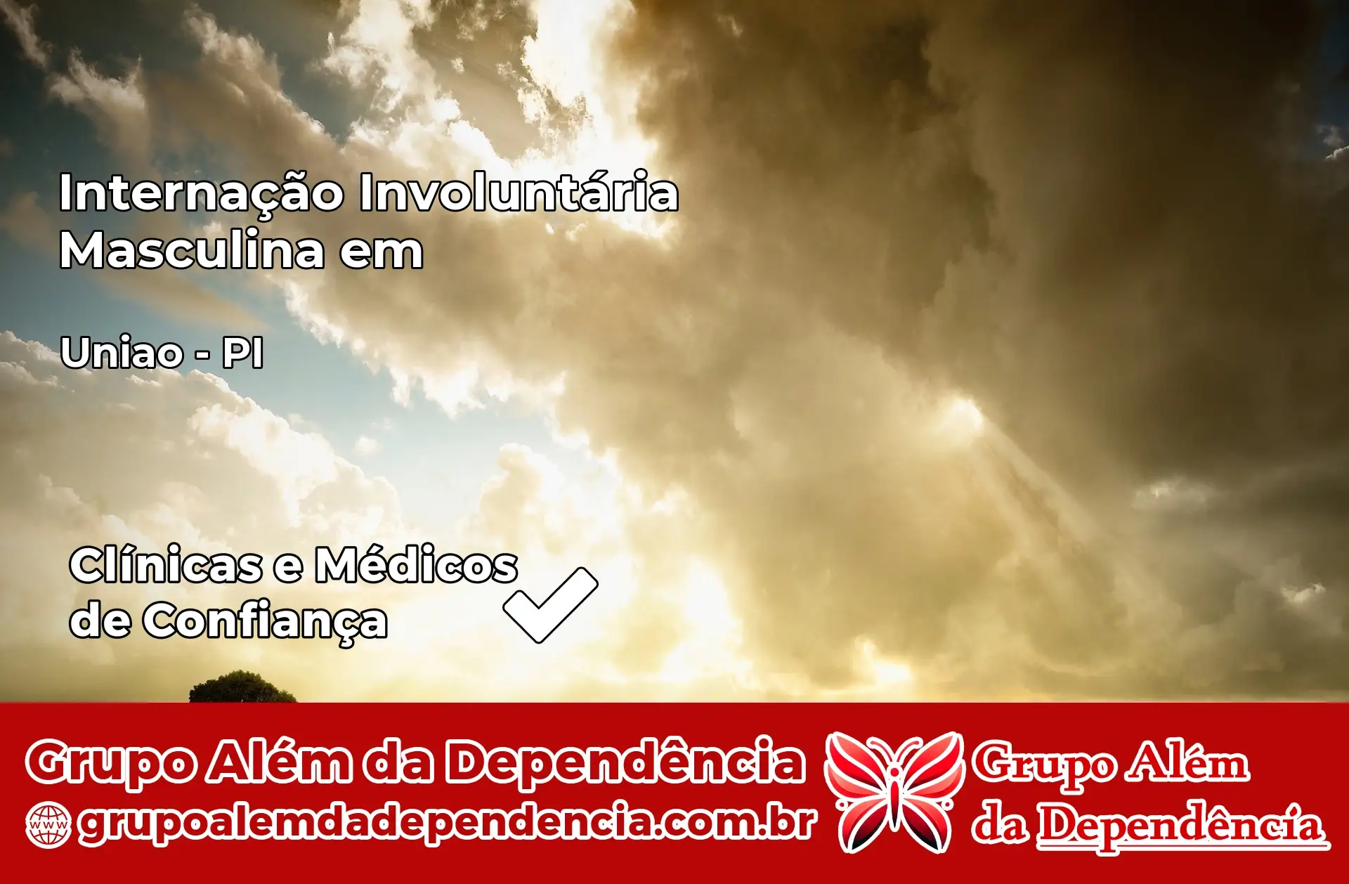 Internação Involuntária Masculina em União – PI