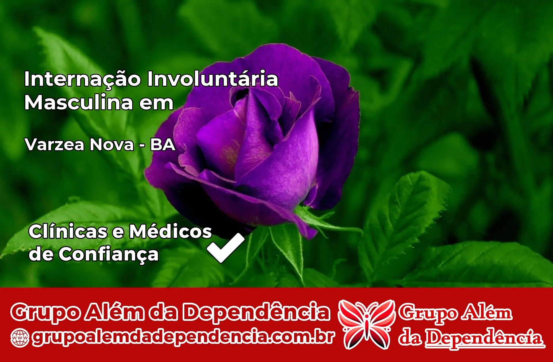 Internação Involuntária Masculina em Várzea Nova – BA