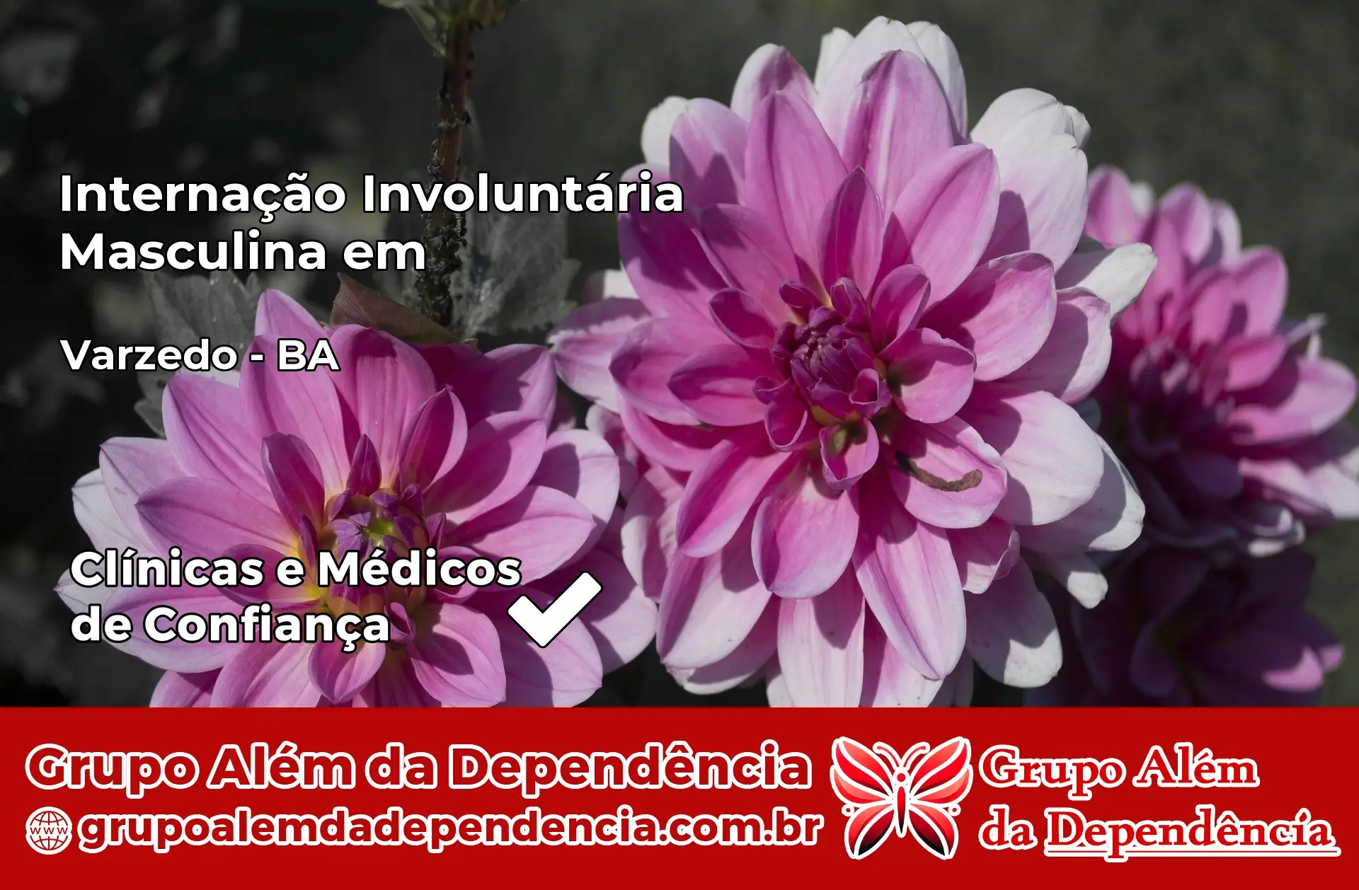 Internação Involuntária Masculina em Varzedo – BA