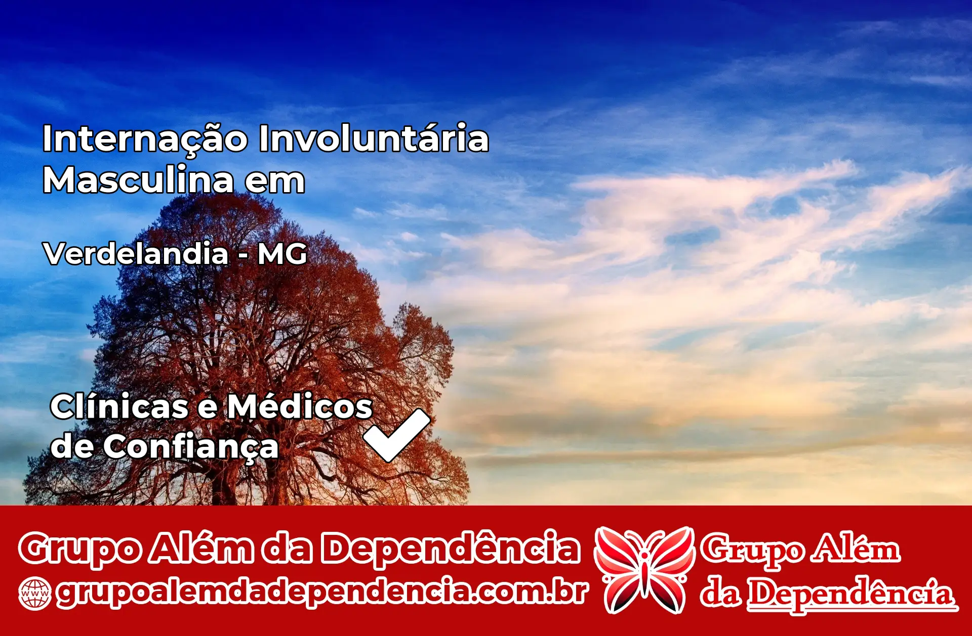 Internação Involuntária Masculina em Verdelândia – MG