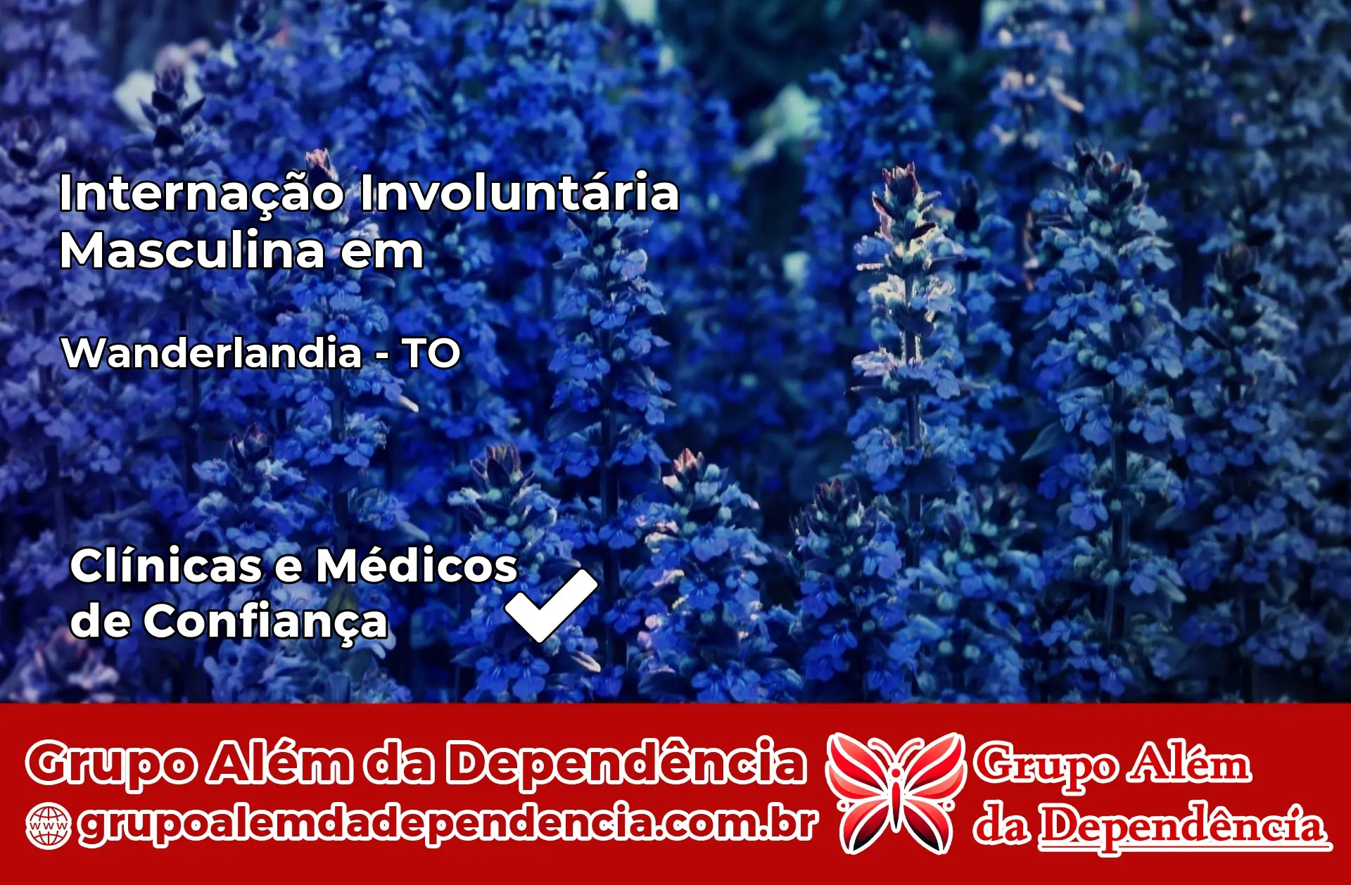 Internação Involuntária Masculina em Wanderlândia – TO