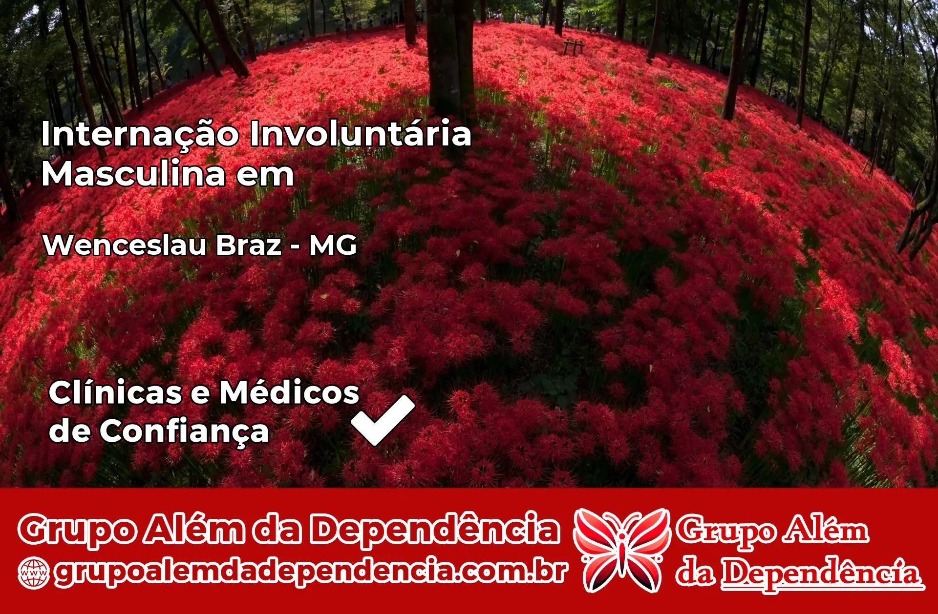 Internação Involuntária Masculina em Wenceslau Braz – MG
