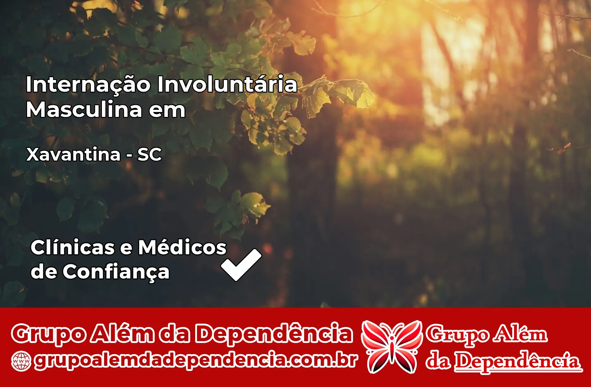 Internação Involuntária Masculina em Xavantina – SC