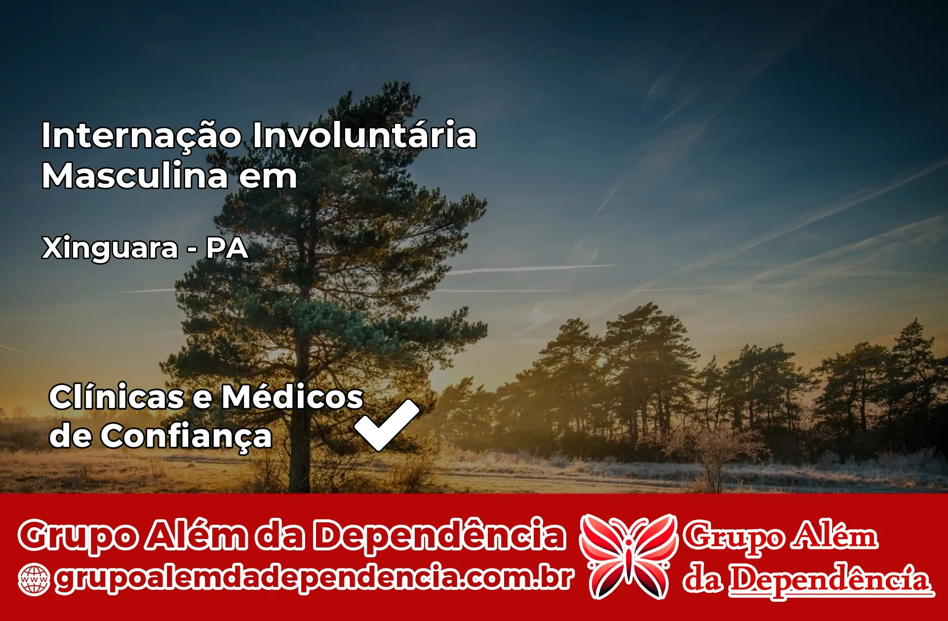 Internação Involuntária Masculina em Xinguara – PA