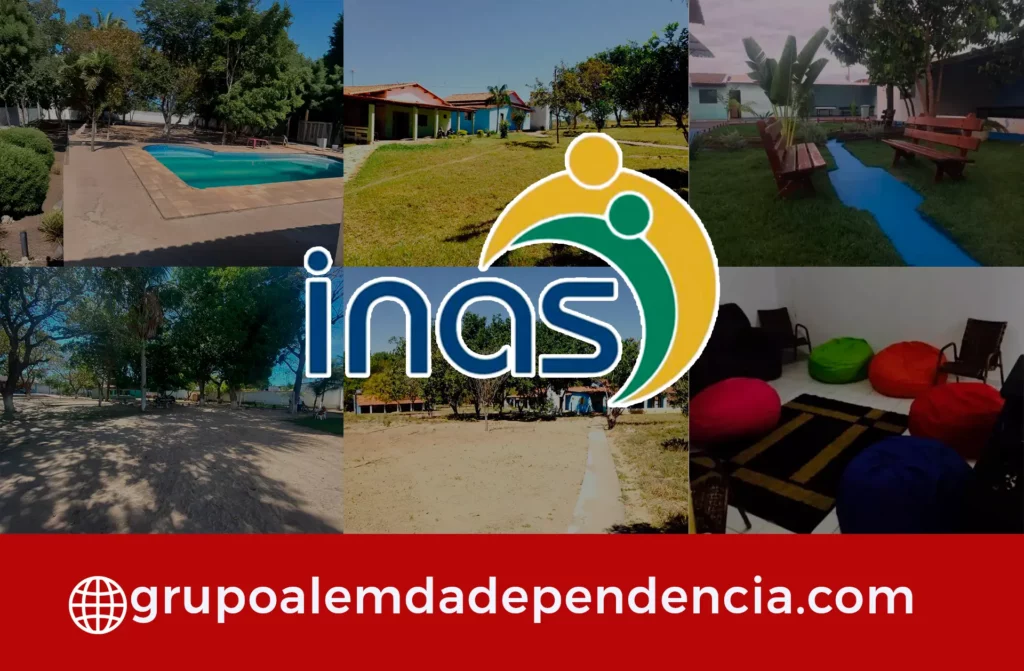 plano inas