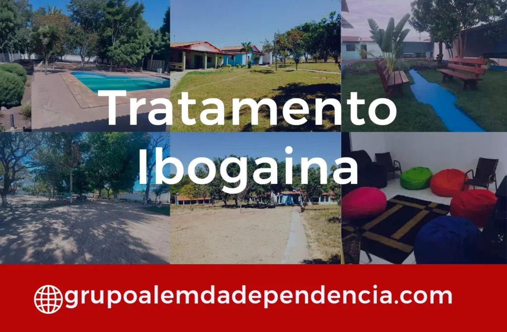 Como Funciona o Tratamento com Ibogaína em Belém – PA 4 tratamento ibogaina